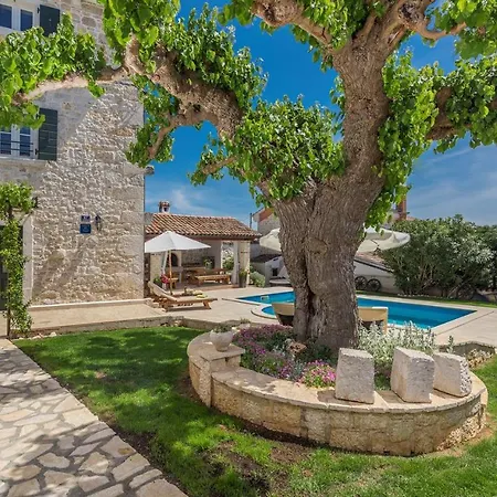 Villa Beautiful Stone House - Parentium With Private Pool Dracevac